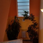 20141206_095742